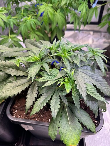 Growreport Bild 10