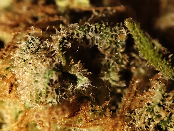 Growreport Bild 17