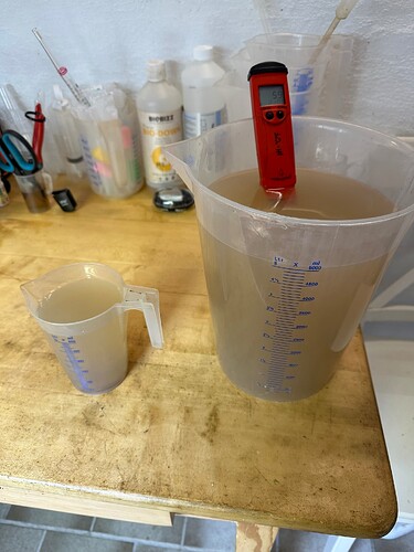 Growreport Bild 1