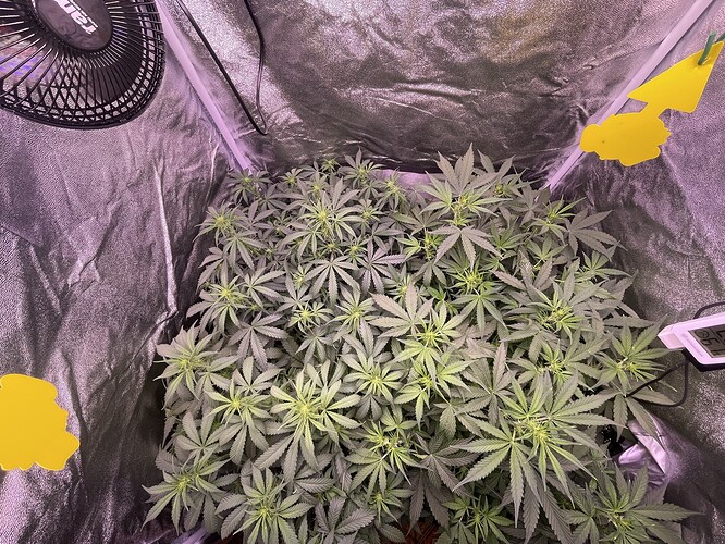 Growreport Bild 22