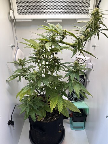 Growreport Bild 4