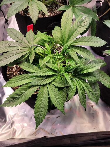 Growreport Bild 14