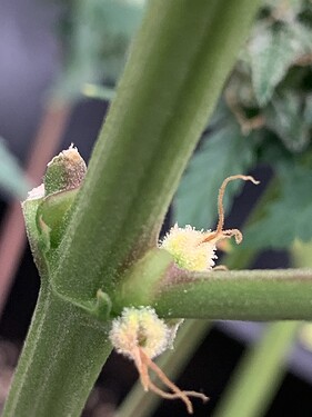 Growreport Bild 15