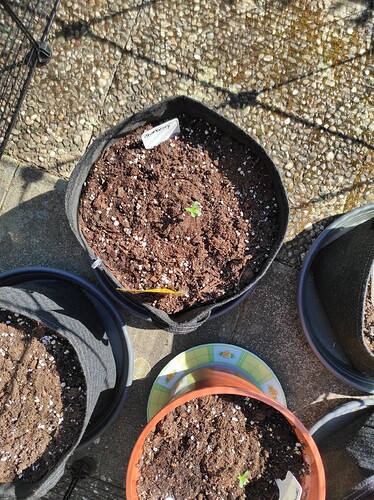 Growreport Bild 7