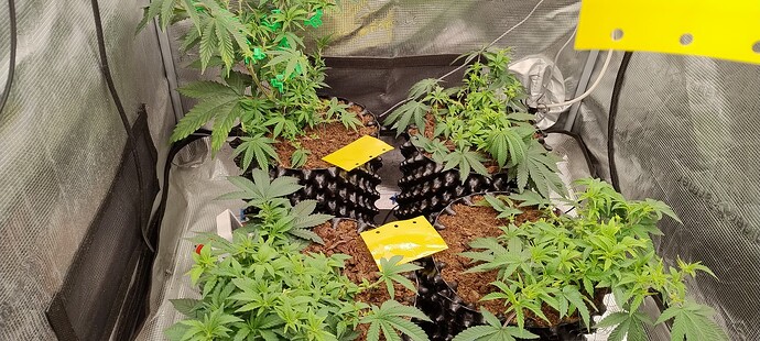 IMG_20251013_090754583