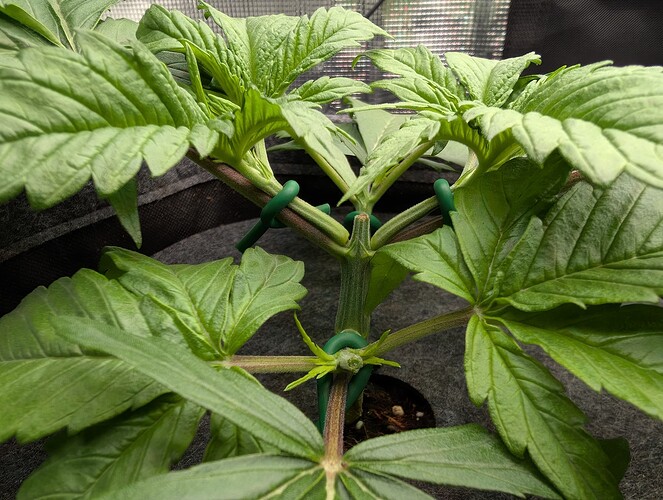 Growreport Bild 10