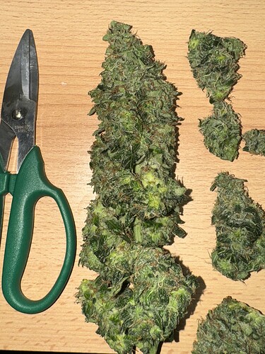 Growreport Bild 28