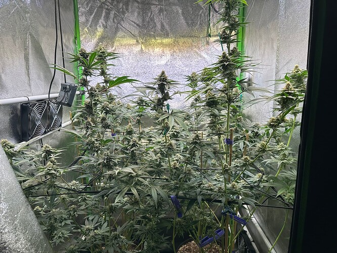 Growreport Bild 3