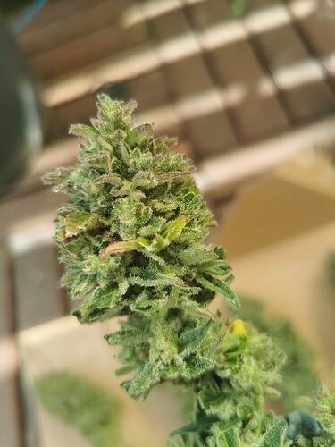 Growreport Bild 21