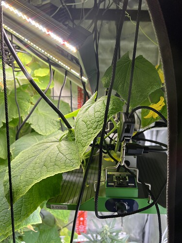 Growreport Bild 5