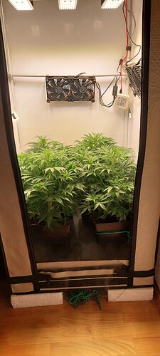 Growreport Bild 1