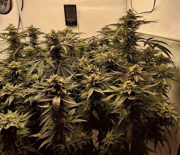 475663136_122167155950293599_1425299854502546963_n