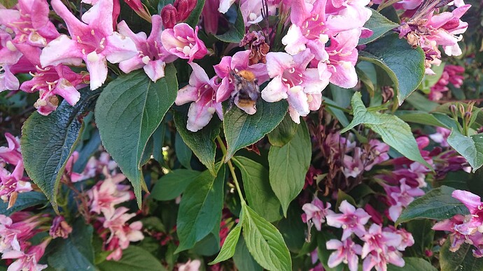 Growreport Bild 9