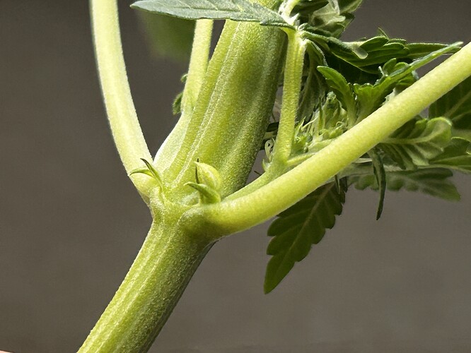 Growreport Bild 1