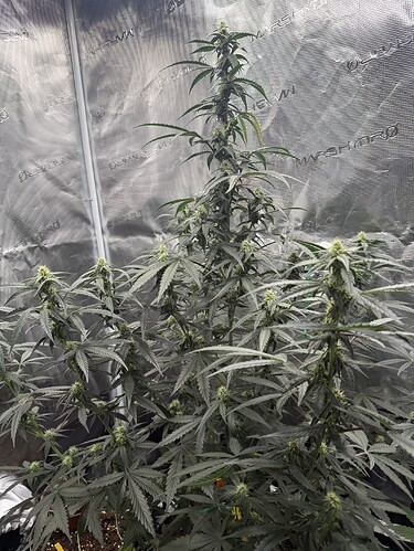 Growreport Bild 30