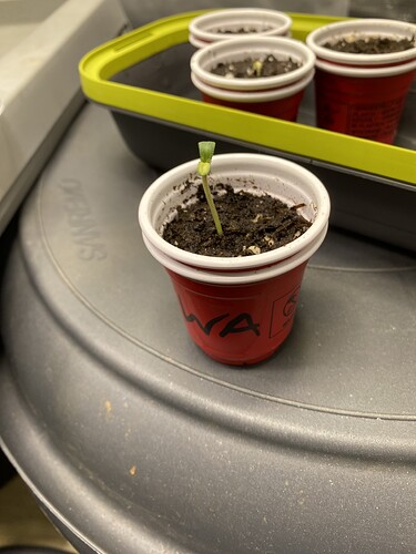 Growreport Bild 11