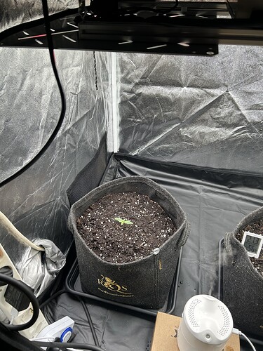 Growreport Bild 2