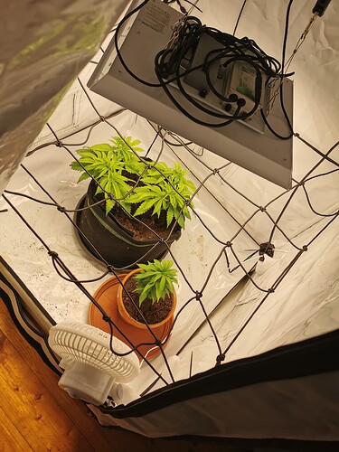 Growreport Bild 12