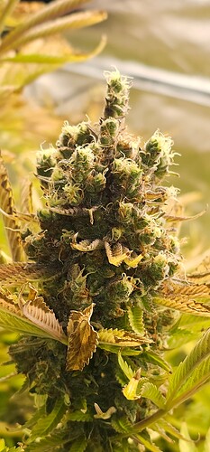 Growreport Bild 22