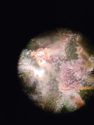 Growreport Bild 15