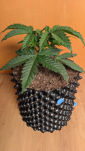 PXL_20250409_134405342.MP