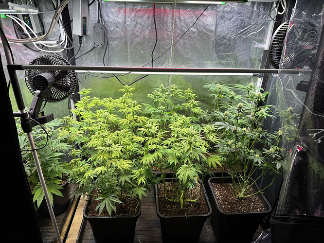 Growreport Bild 8
