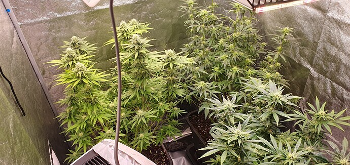 Growreport Bild 8
