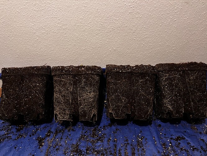 Growreport Bild 8