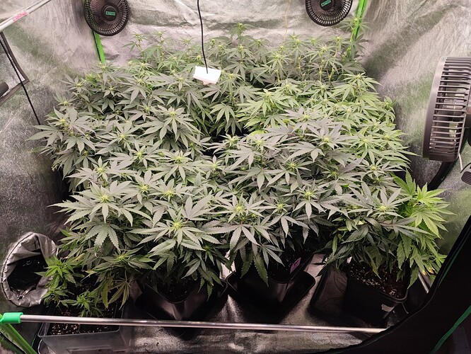 Growreport Bild 6