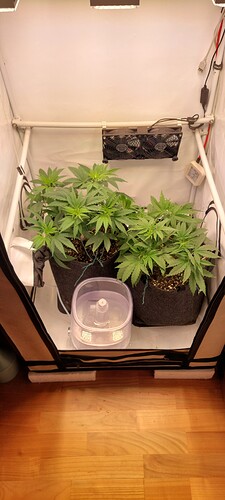 Growreport Bild 6