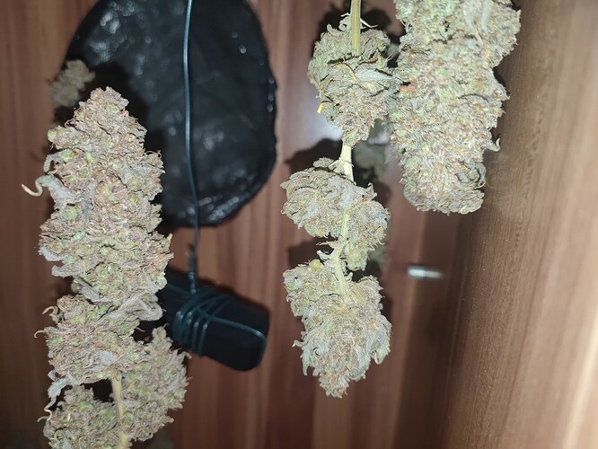 Growreport Bild 45