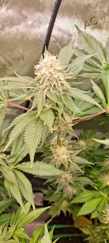 Growreport Bild 21