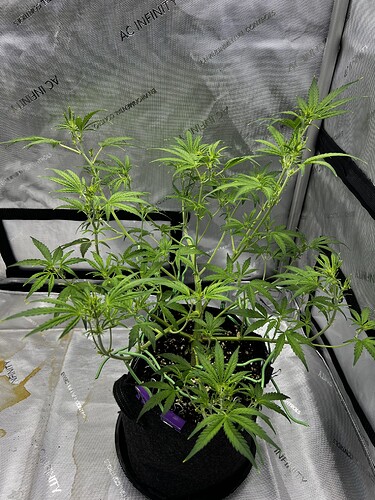 Growreport Bild 8