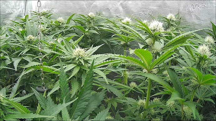 Growreport Bild 18