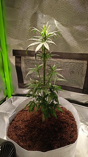 Growreport Bild 12