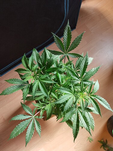 Growreport Bild 10