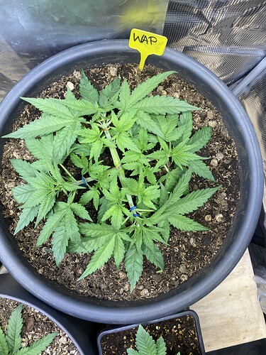 Growreport Bild 16