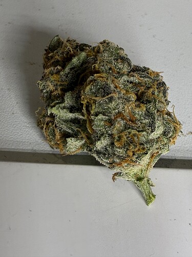 Growreport Bild 19