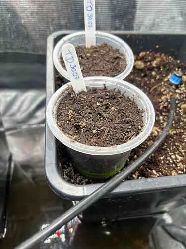 Growreport Bild 90