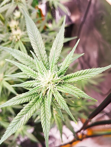 Growreport Bild 9