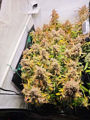 MVIMG_20251204_172130