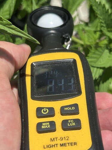 Growreport Bild 34