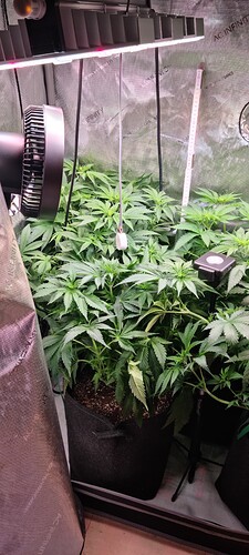 Growreport Bild 3
