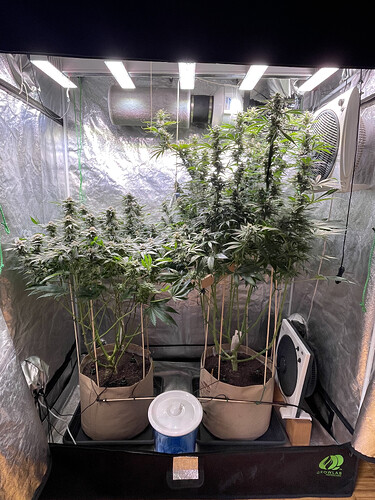 Growreport Bild 1