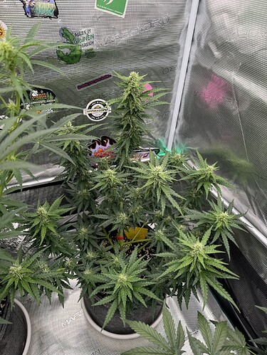 Growreport Bild 18