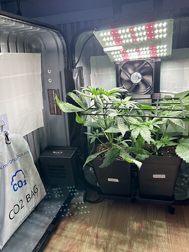Growreport Bild 14