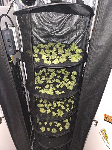 Growreport Bild 15