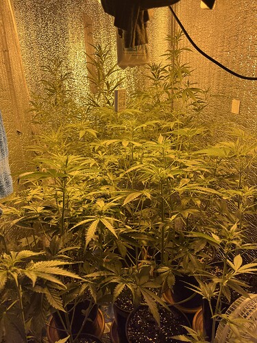Growreport Bild 9