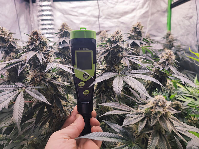 Growreport Bild 30