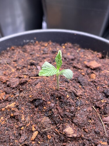 Growreport Bild 20